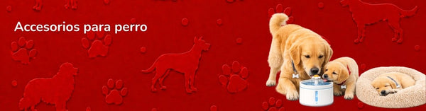 Perros accesorios