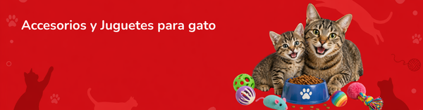 Gato juguetes