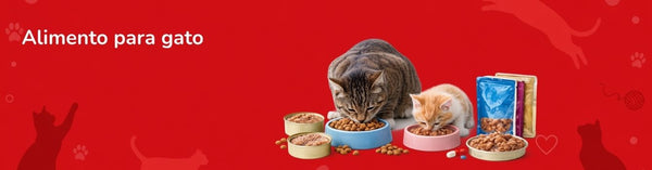 Alimento húmedo gato