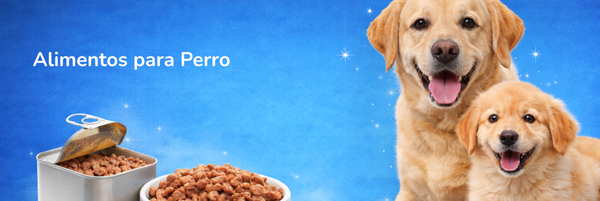 Alimento húmedo perro