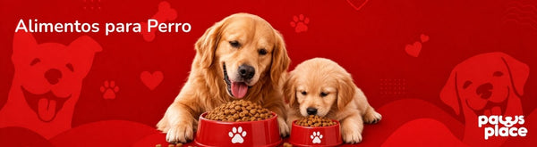 Alimento Seco Perro