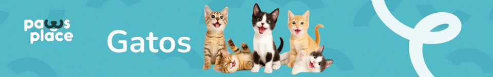 Gato