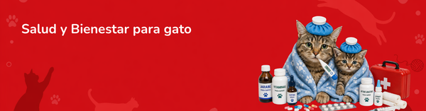 Gato suplementos y vitaminas