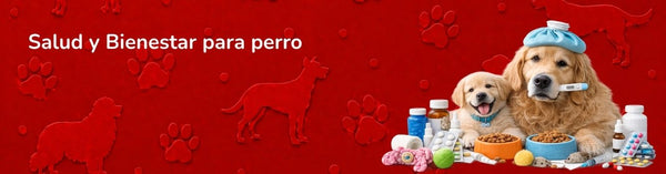 Óticos y oftalmicos Perro