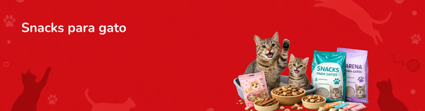 Gatos snacks