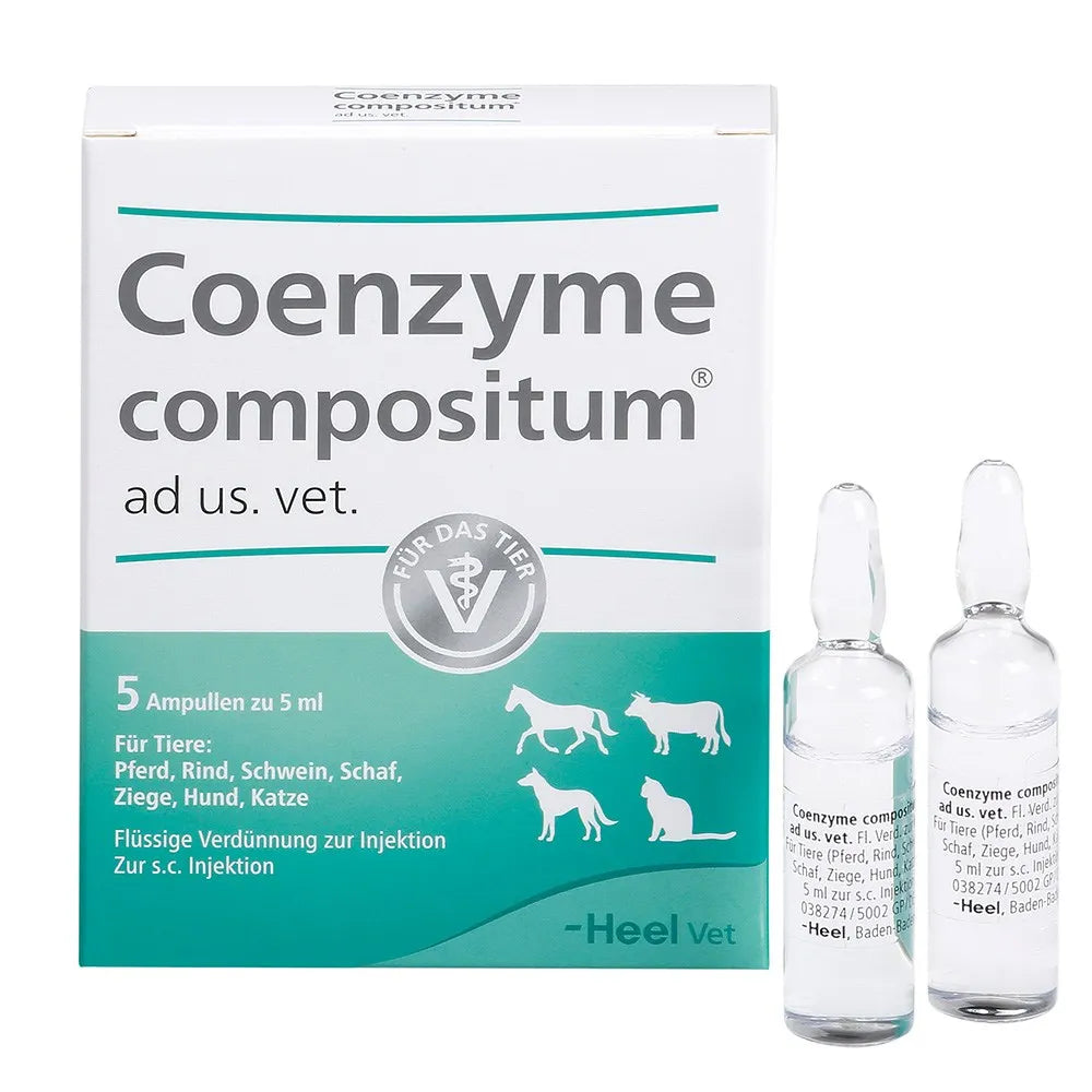 Coenzyme Ampolla