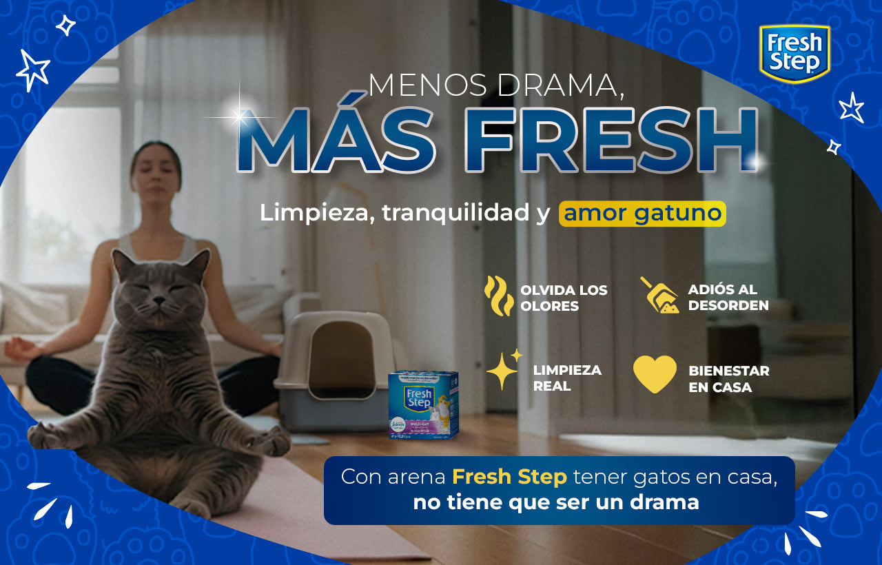 Fresh Step