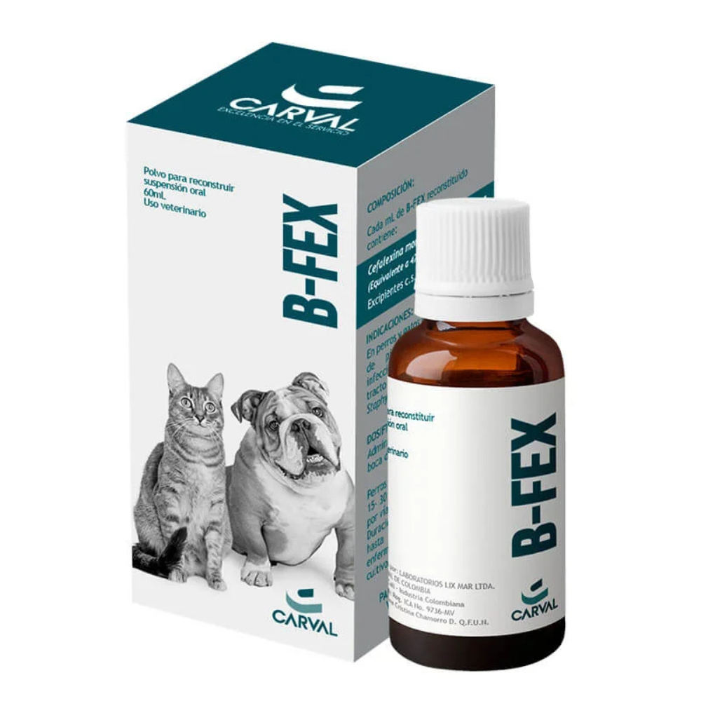 Antibiótico para perros y gatos B-FEX 60 ML