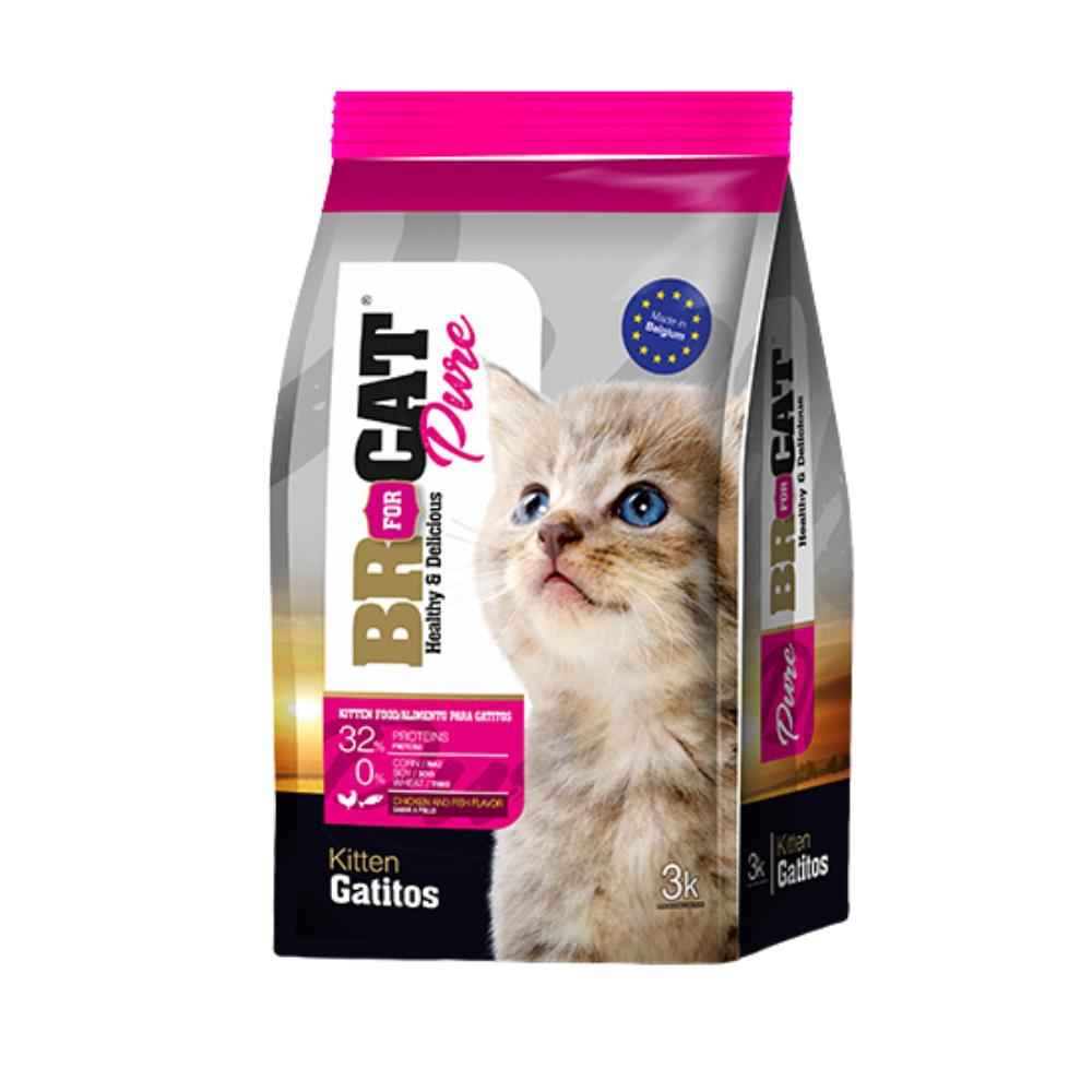 Comida para gatitos BR Kitten
