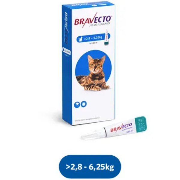 Antipulgas gatos Bravecto Spot on 2.8 - 6.25 Kg