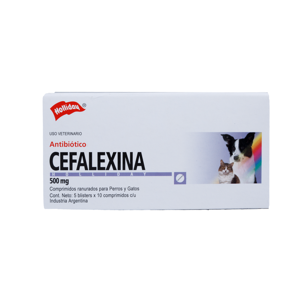Antibiótico Cefalexina 500mg 50 Tabletas
