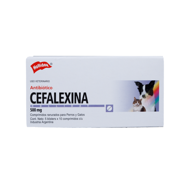 Antibiótico Cefalexina 500mg 50 Tabletas