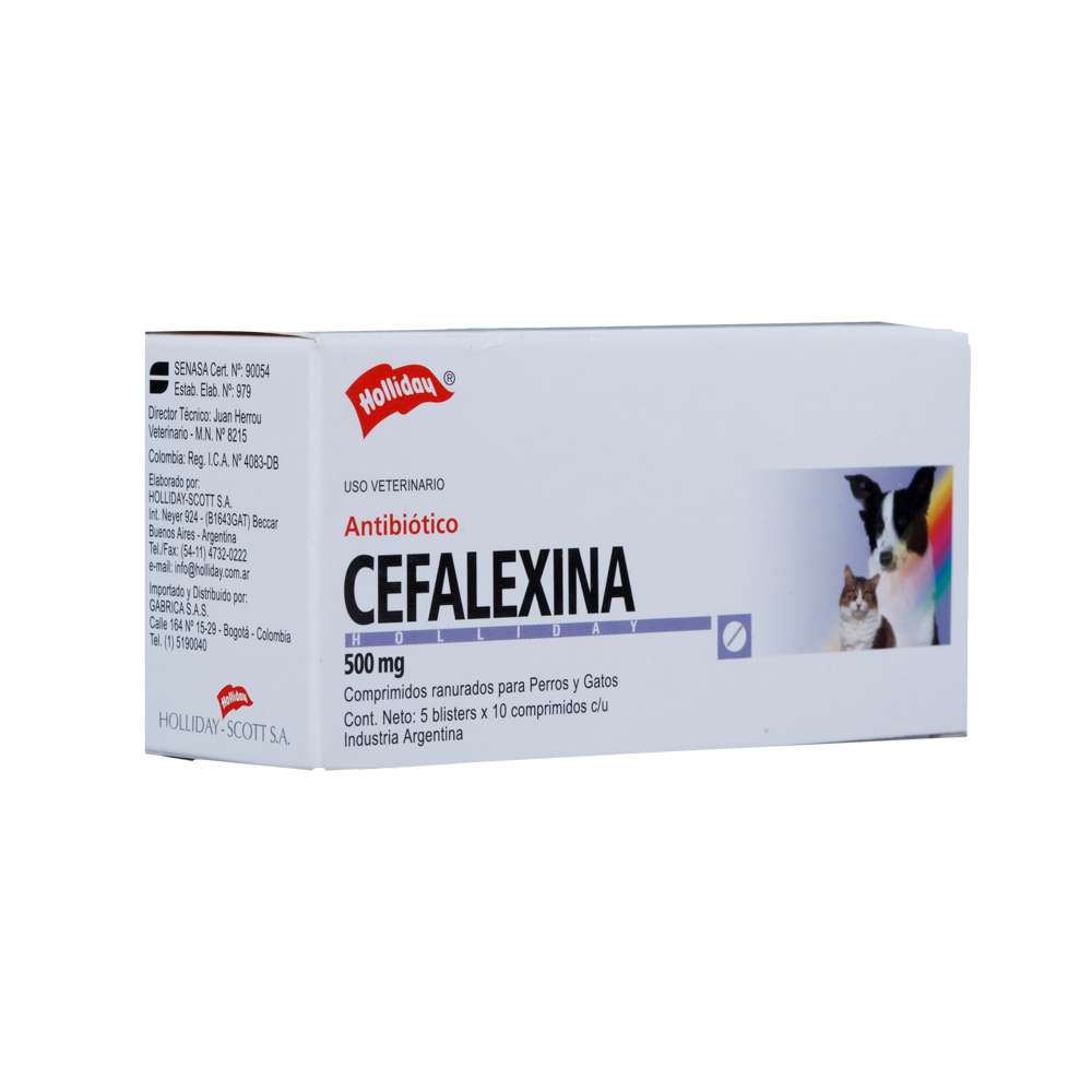 Antibiótico Cefalexina 500mg 50 Tabletas