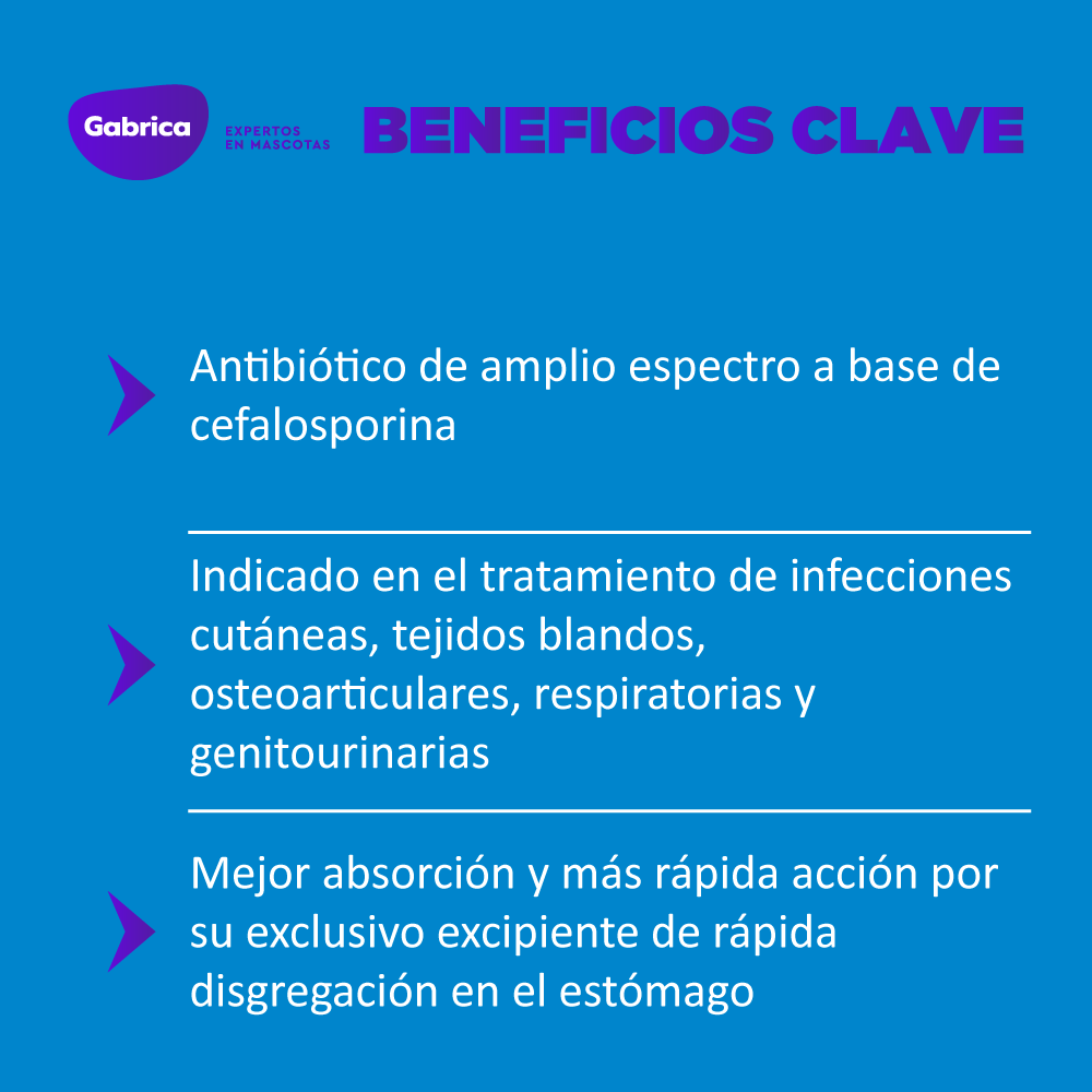 Antibiótico Cefalexina 500mg 50 Tabletas