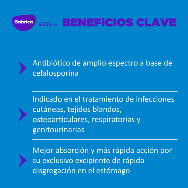 Antibiótico Cefalexina 500mg 50 Tabletas