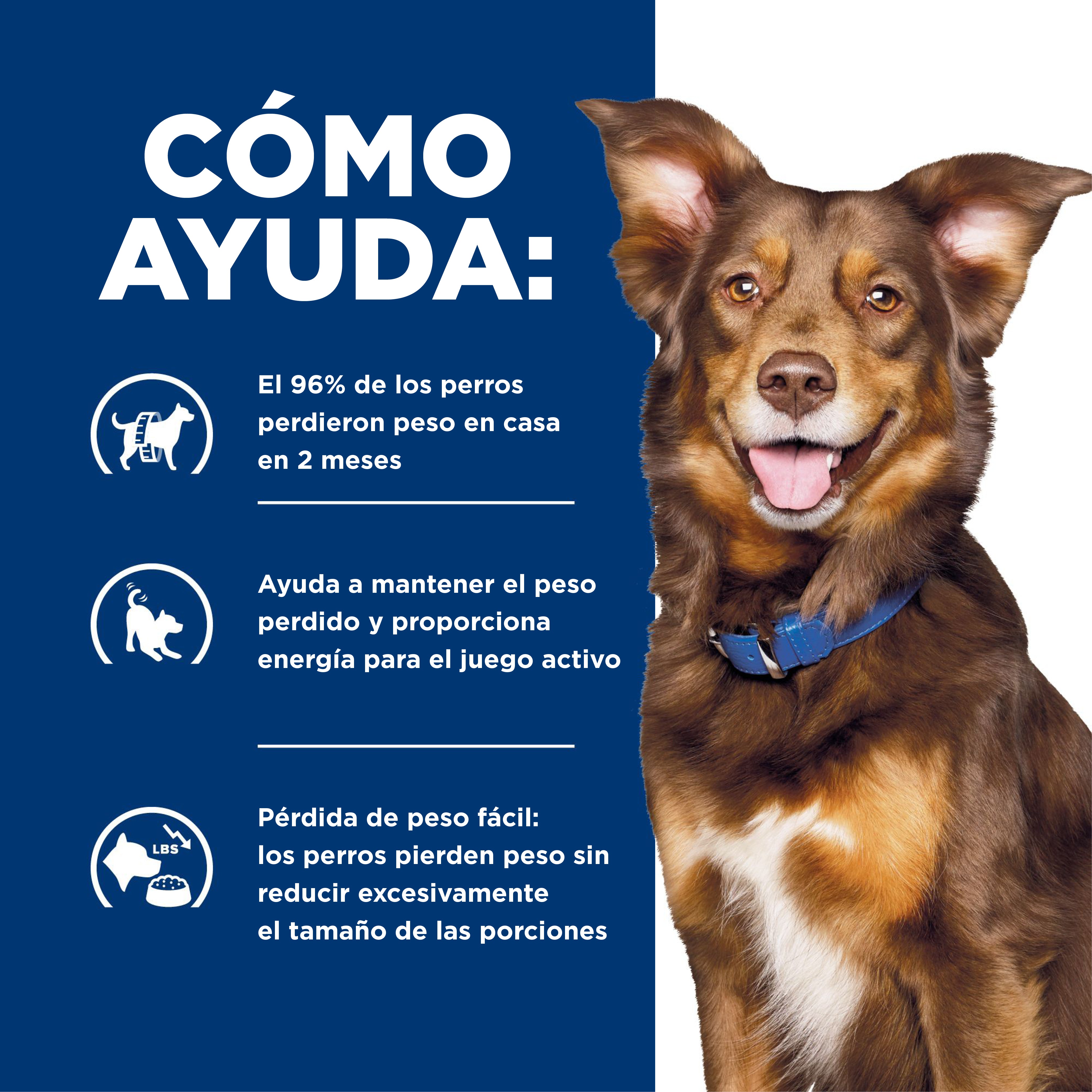 Comida Húmeda para Perro Hills Prescription Metabolic 13 Onz