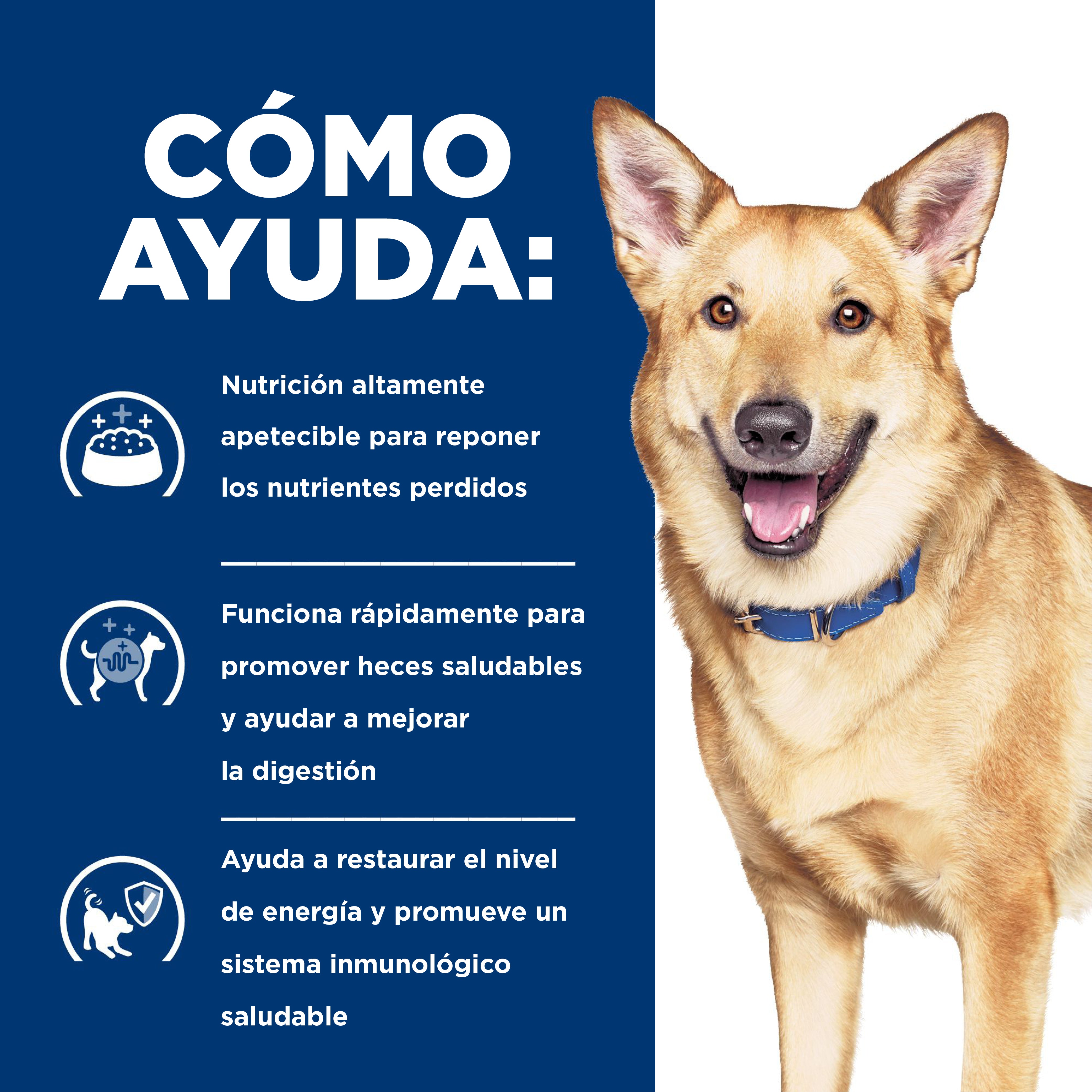 Comida Húmeda para perro Hills Prescription Digestive Care  i/d Estofado de Pollo y Vegetales  12,5 Onz