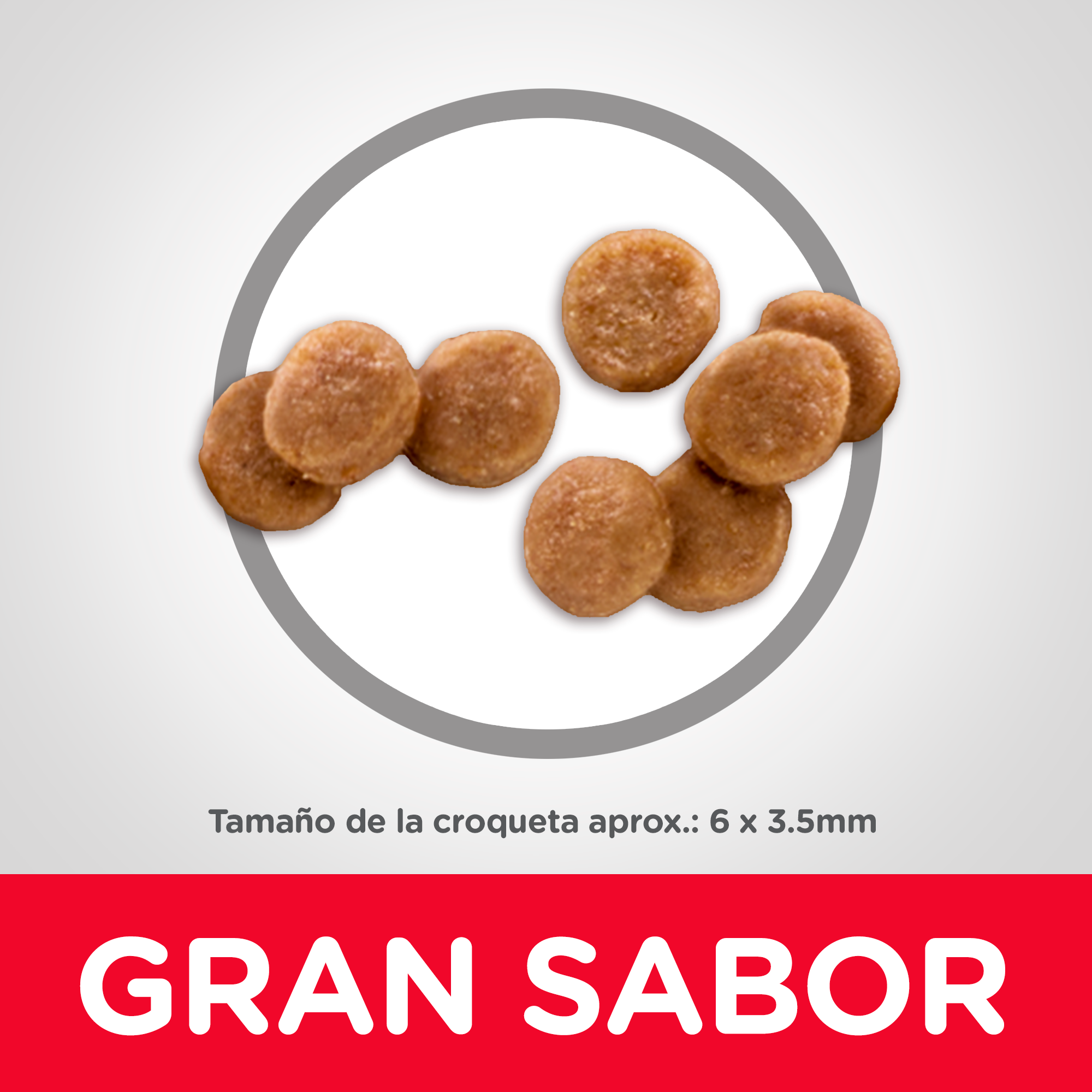 Comida Para Gato Hills Kitten Pollo