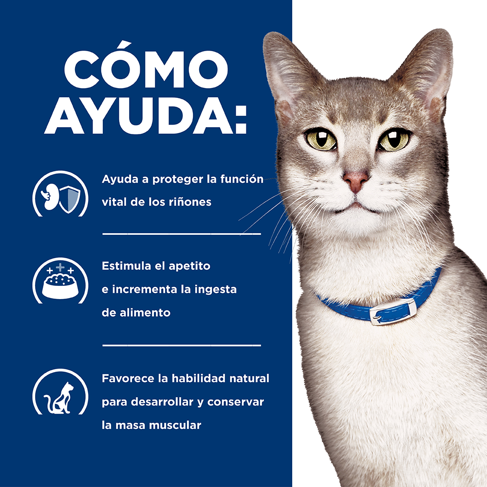 Comida para gato Hills Prescription Cuidado Renal k/d 4Lbs