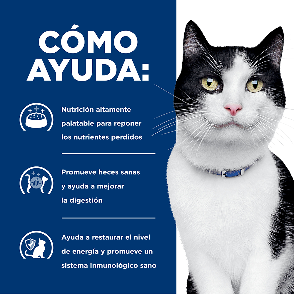 Comida para gato Hills Prescription Digestive Care i/d 4Lbs