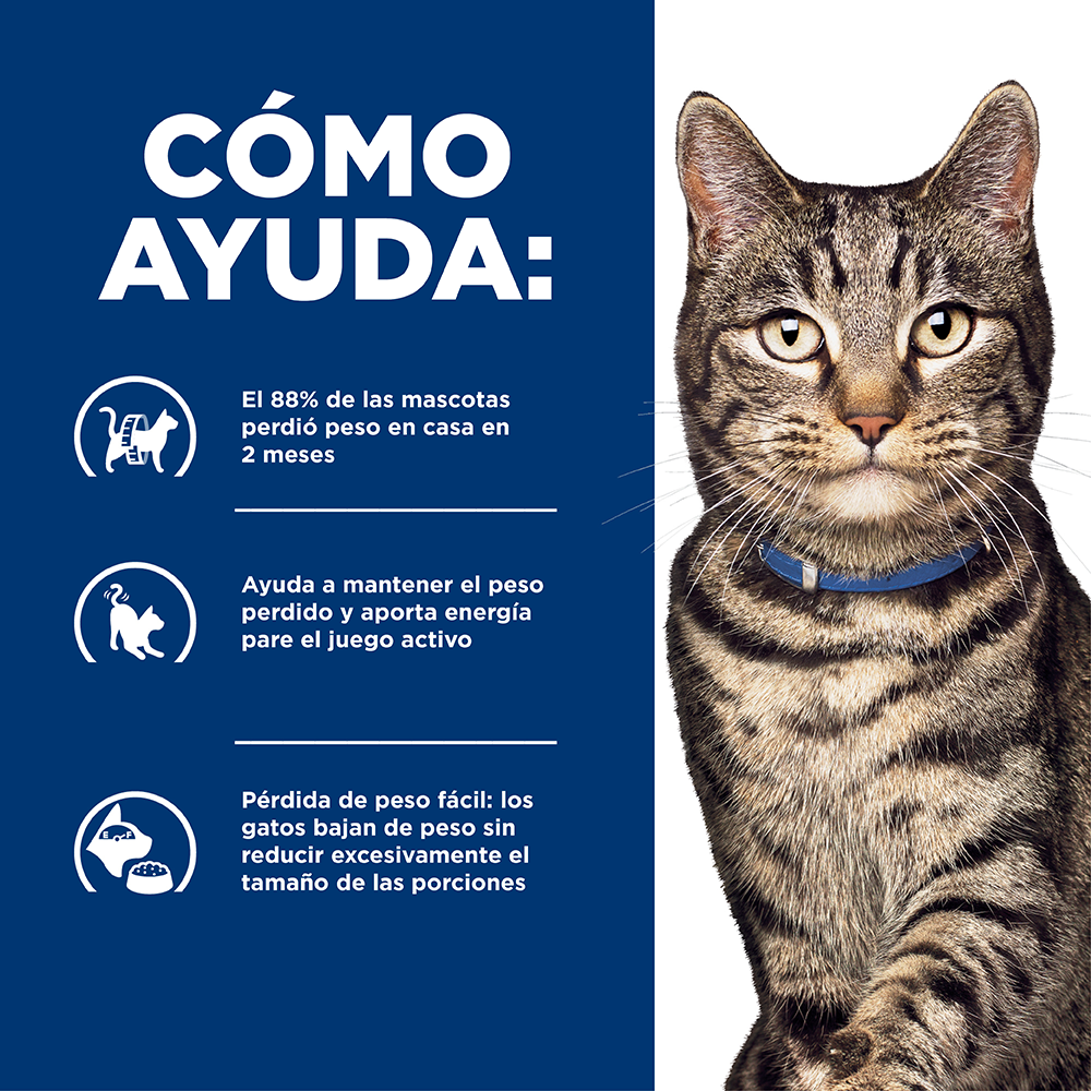 Comida para gato Hills Metabolic Adultos 4 Lbs