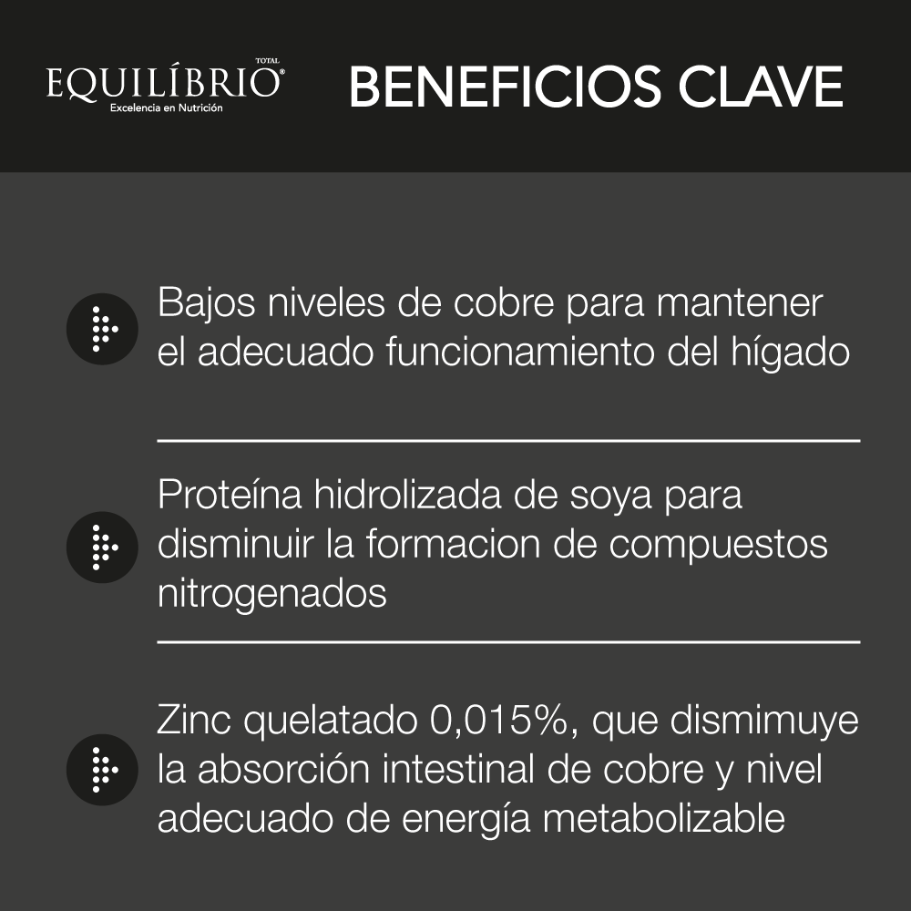 Comida Para Perro Equilibrio Veterinaryhepatic