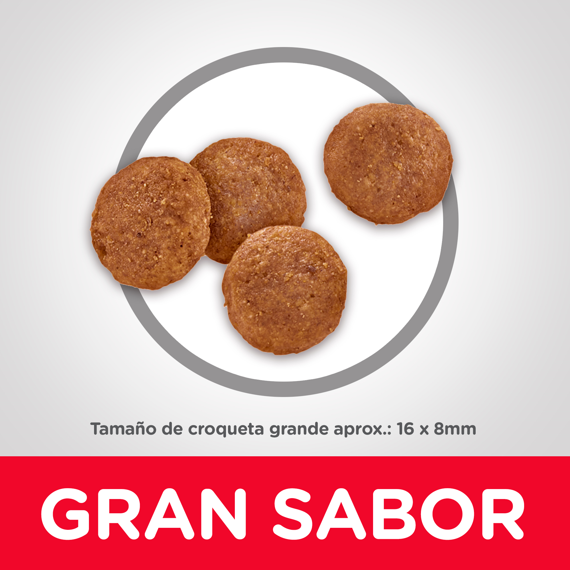 Comida Para Perro Hills LB Adulto Razas Grandes Pollo