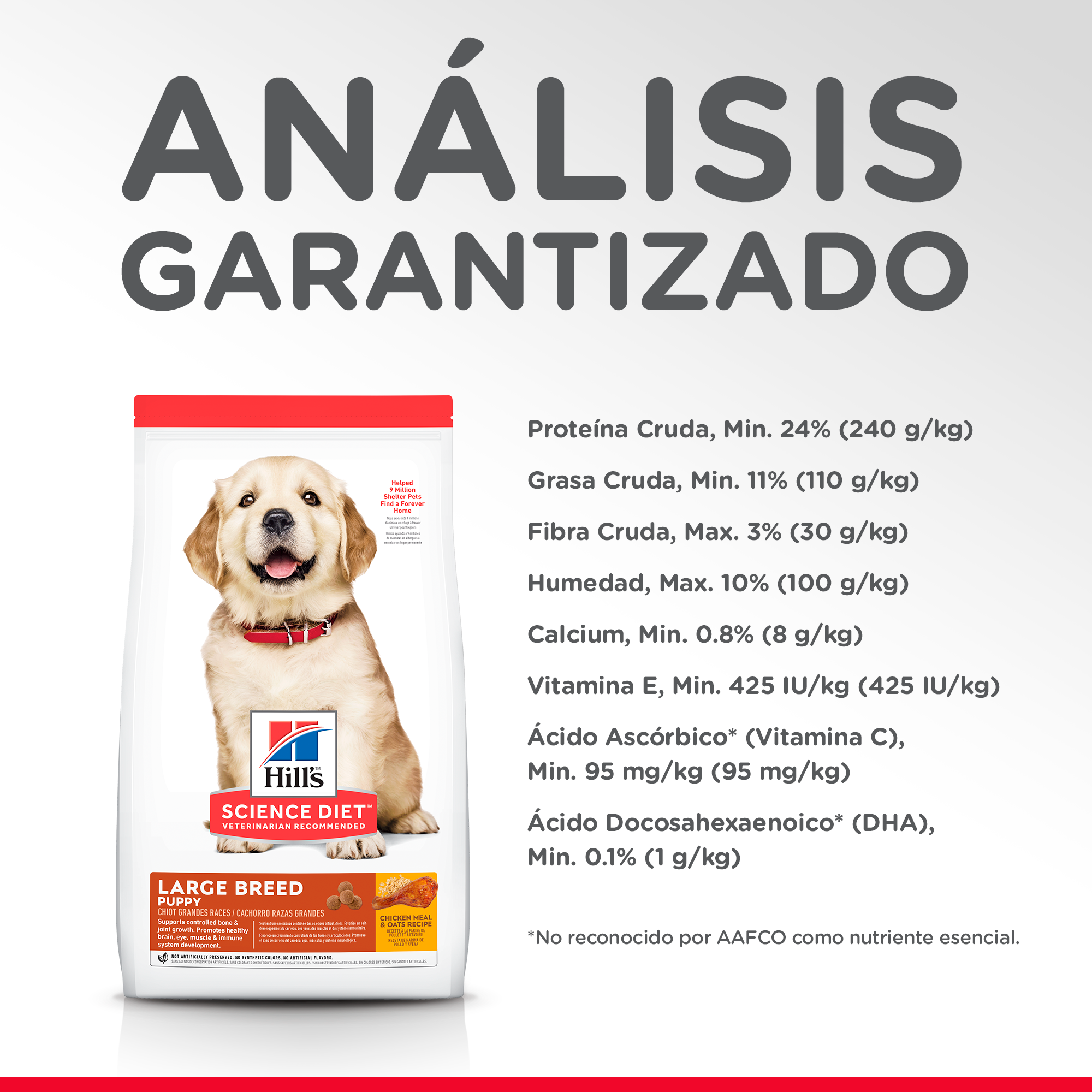 Comida Para Perro Hills LB Cachorro Razas Grandes Pollo