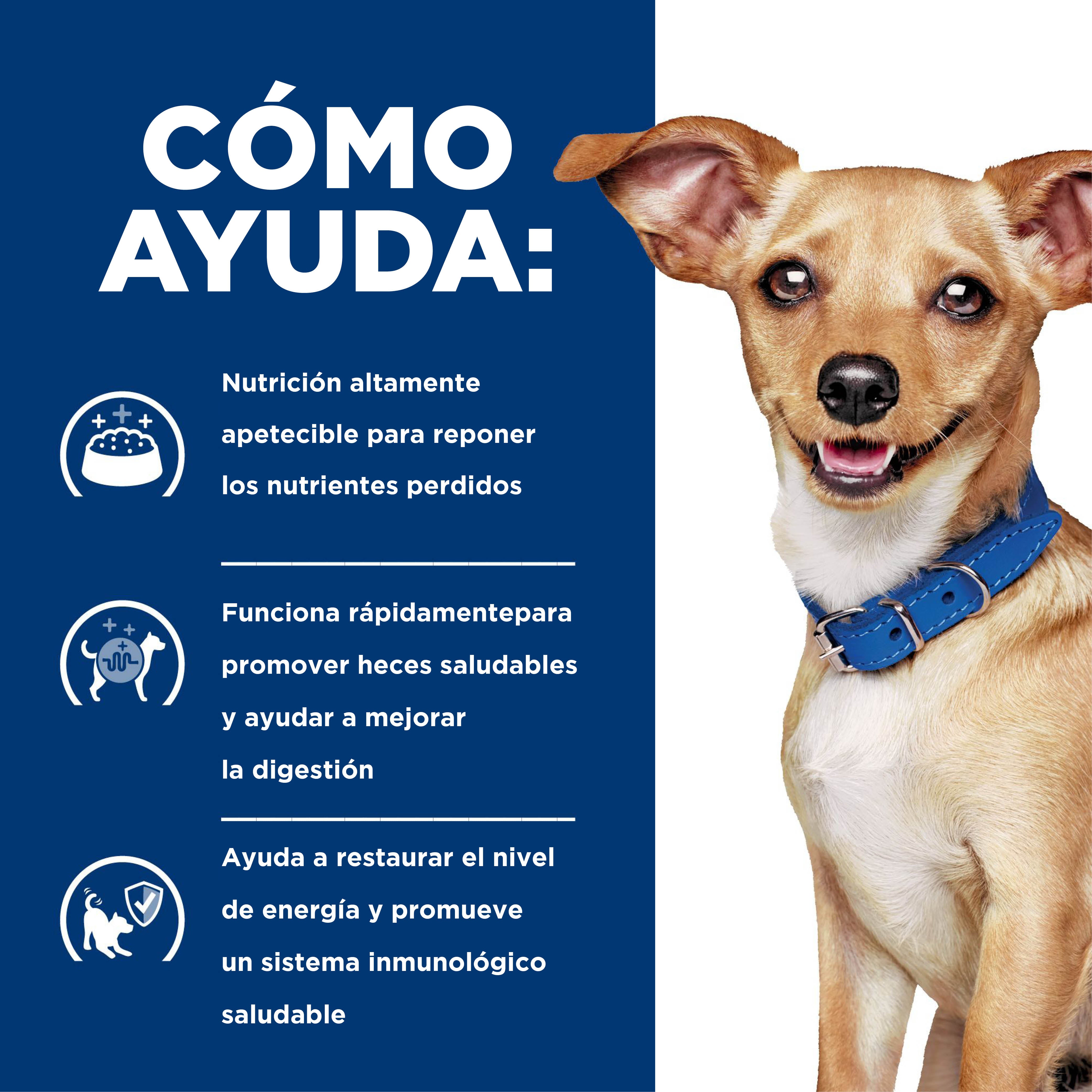 Comida para Perro Hills Digestive Prescription Care i/d Raza Pequeña 3,5 Lb