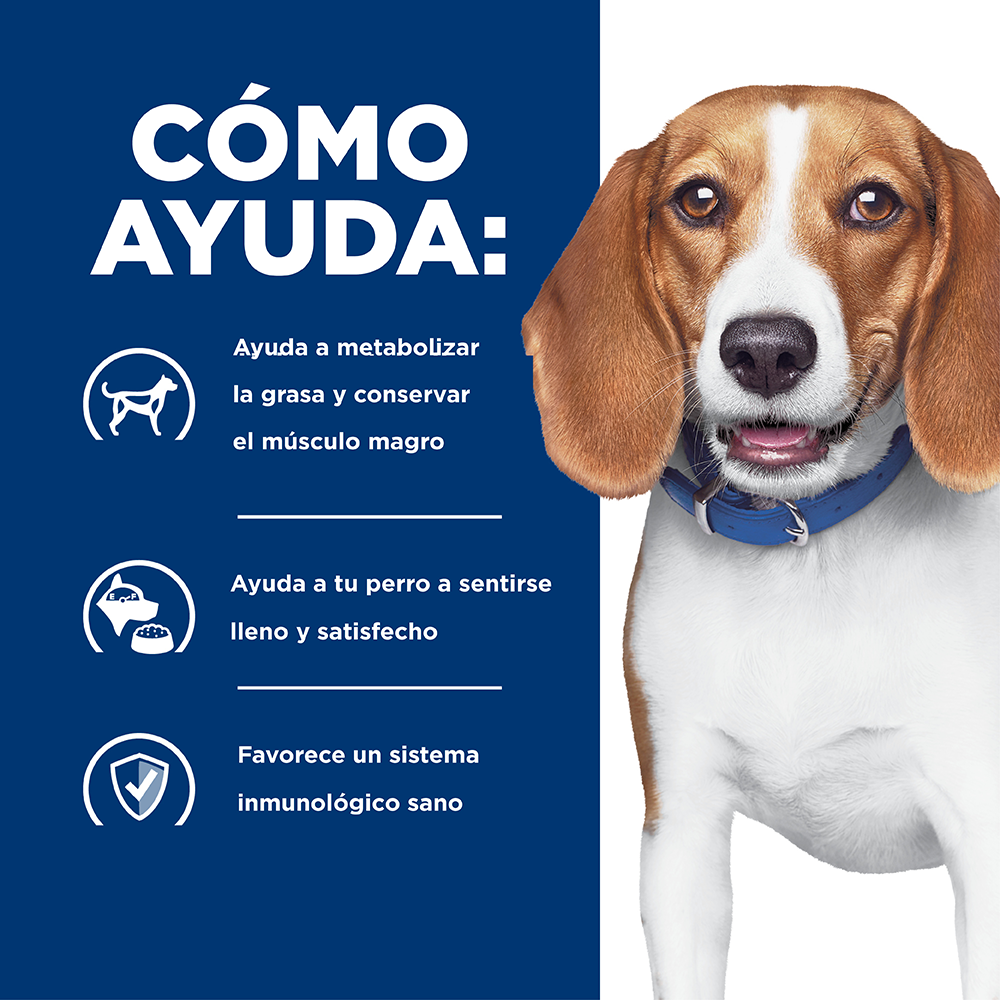 Comida Para Perro Hills  Prescription Diet Reducción De Peso R/D Pollo