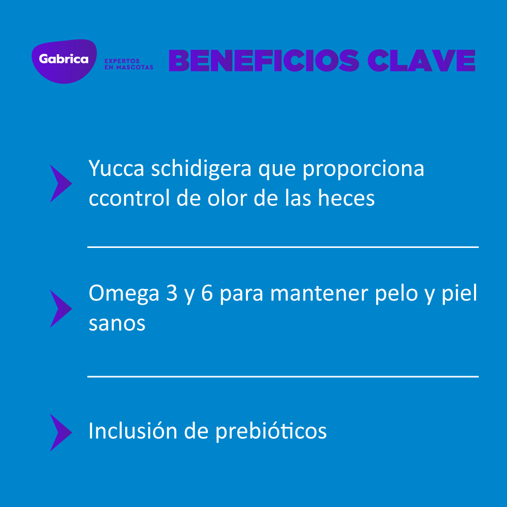 Comida Para Perro Kody Adulto
