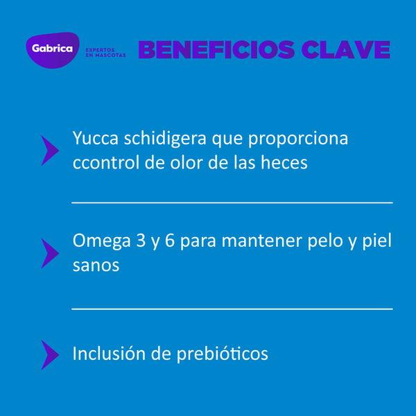 Comida Para Perro Kody Adulto