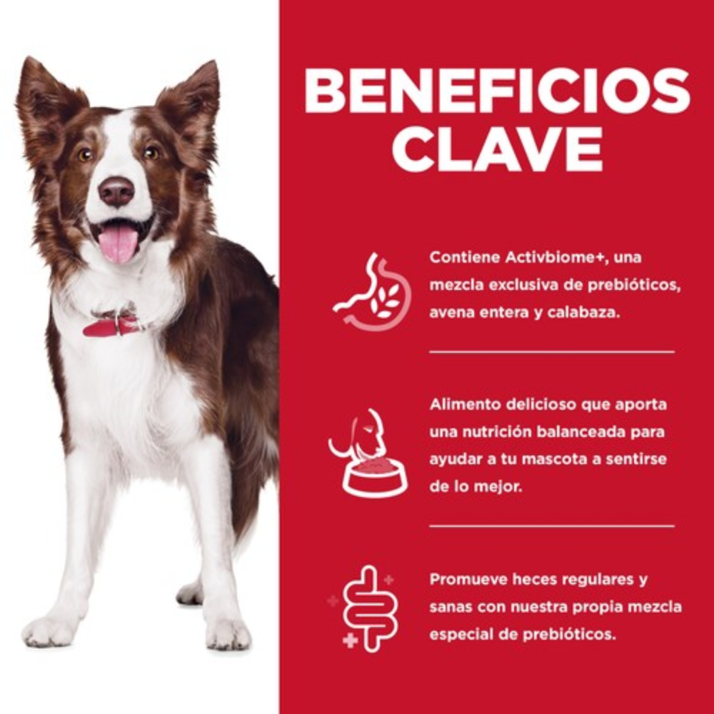 Comida para perro Hills Digestión Perfecta 3.5Lbs