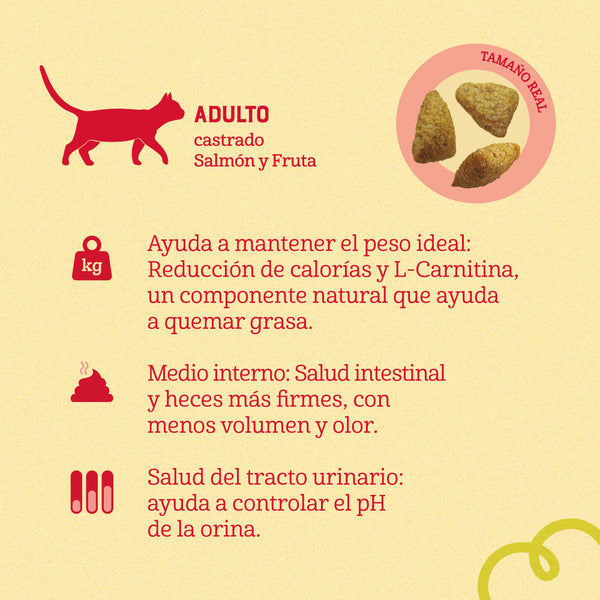 Comida para Gato Naturalis Adulto Castrado Salmon y Frutas