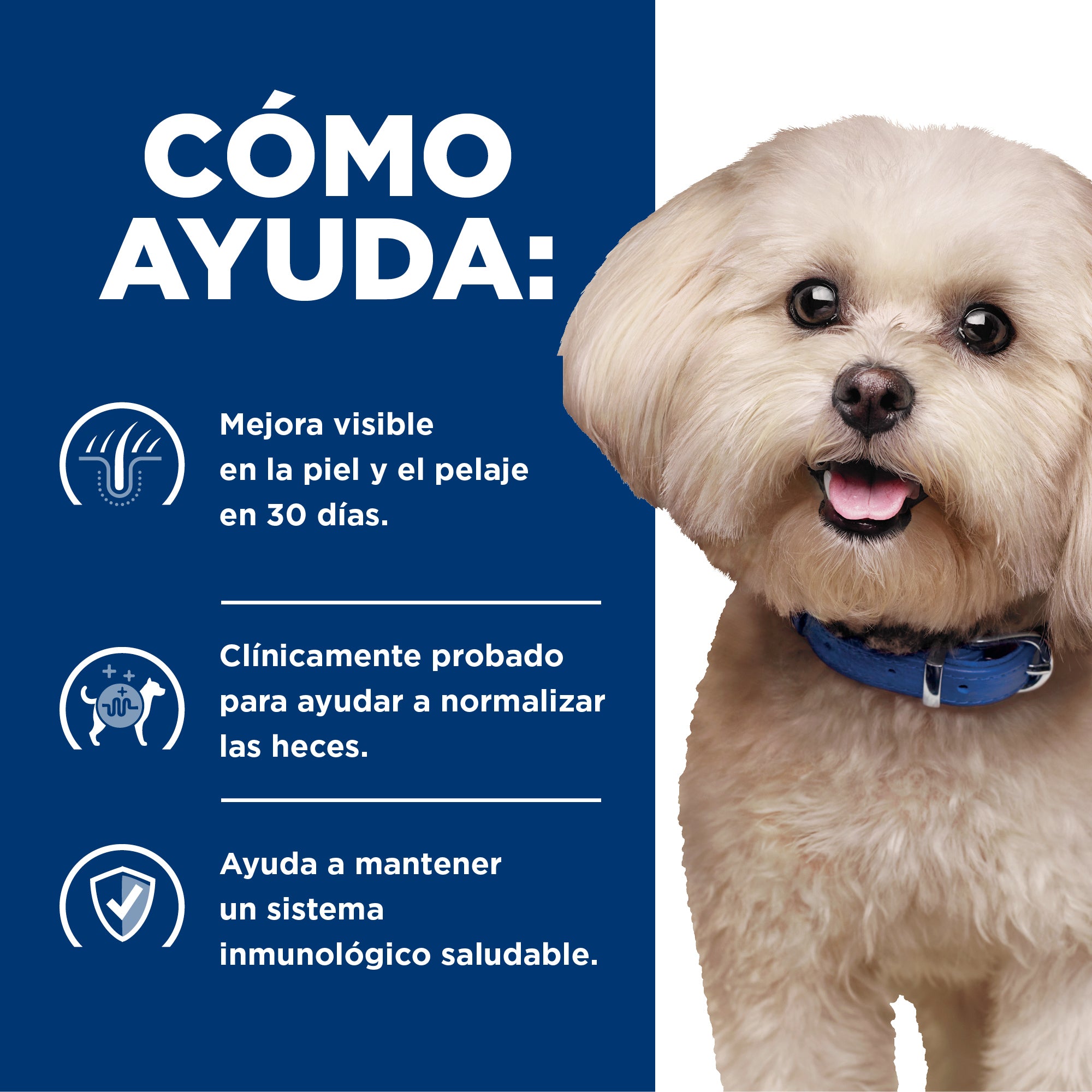 Comida para perro Hills Prescription Diet Sensibilidades alimentarias z/d Razas Pequeñas 3,3 Lbs