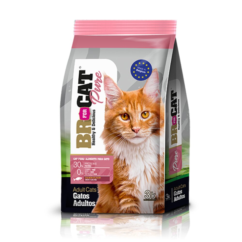 Comidas para gatos adultos BR Salmón