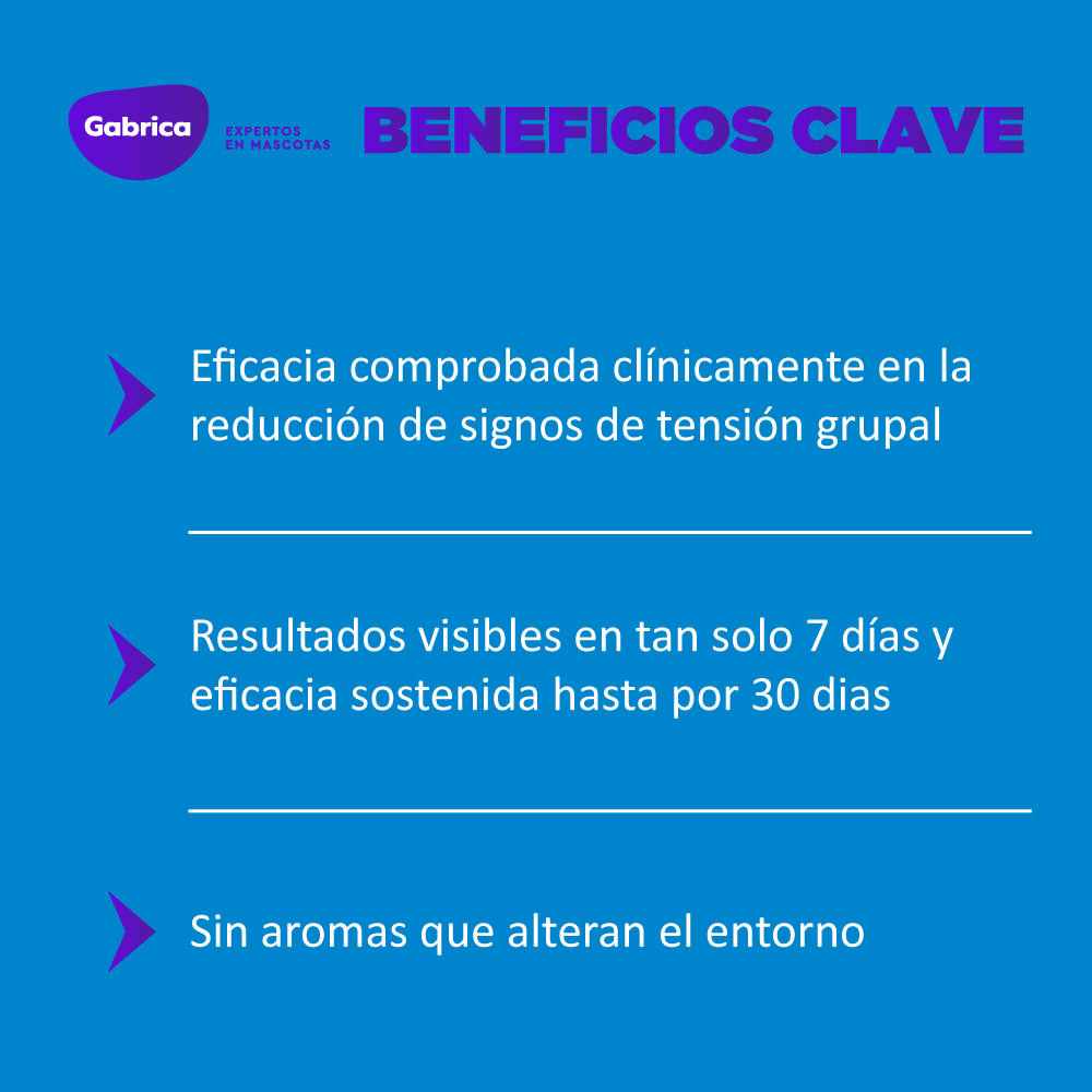 Difusor para gatos Feliway Friends + Recarga 48 ml