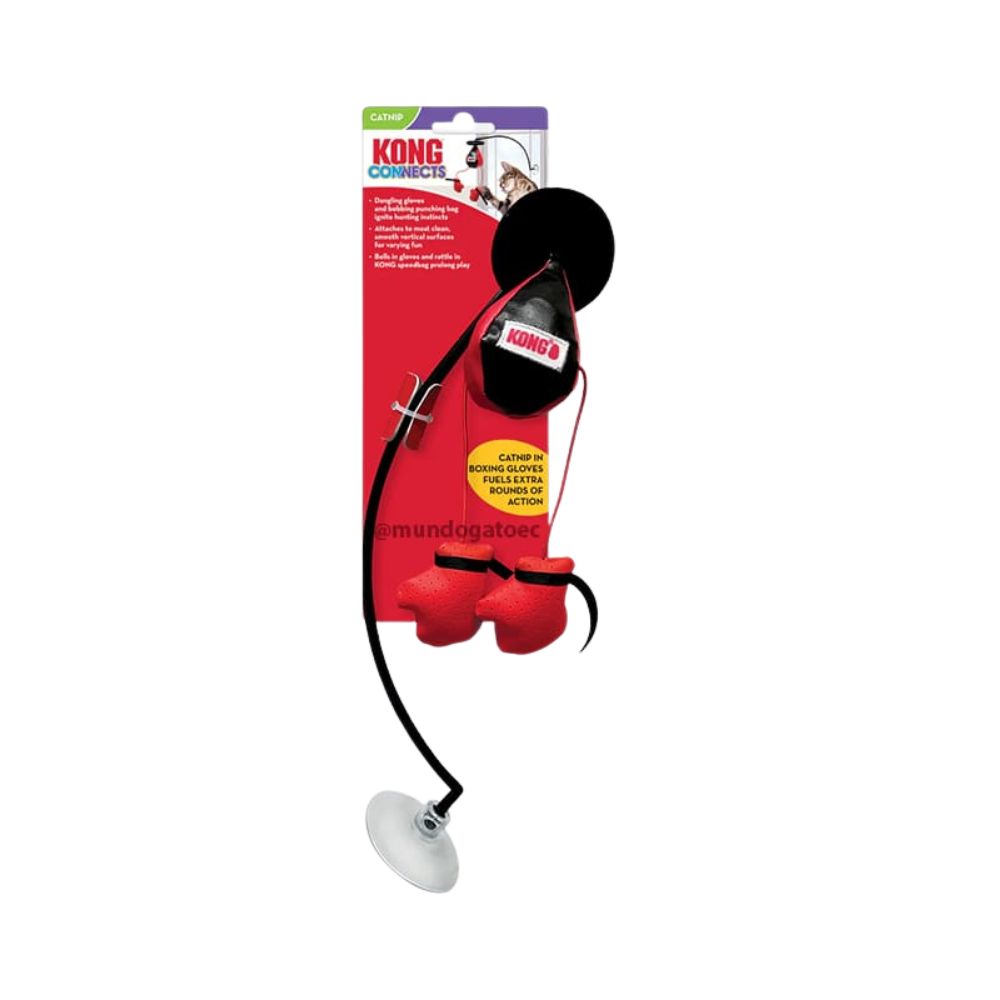 Kong Juguete Para Gato Connects Boxeo Ventana