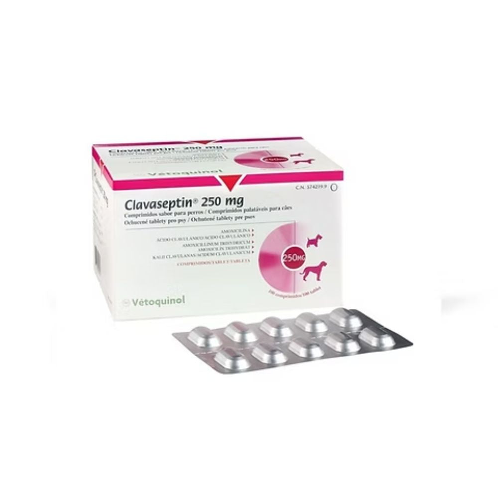 Clavaseptin 250 mg 10 tabletas