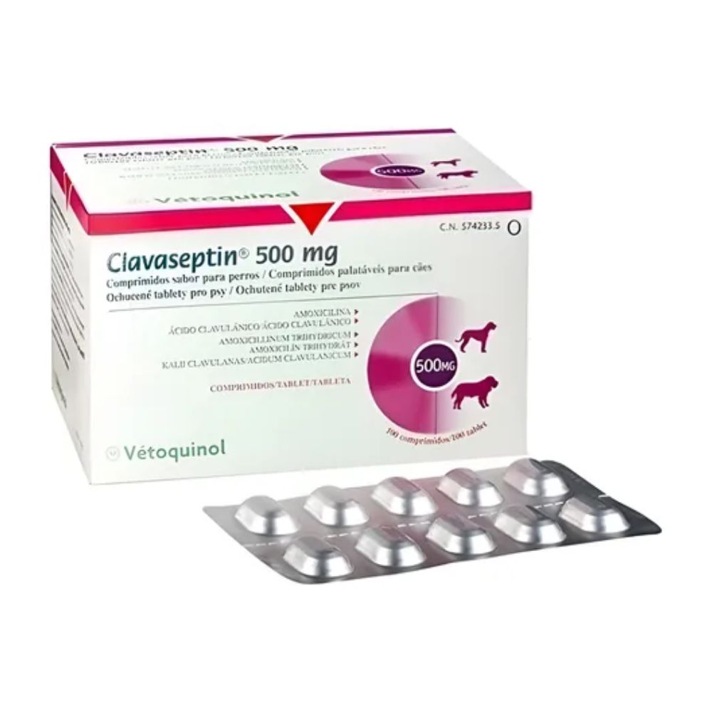 Clavaseptin 500 mg 10 tabletas