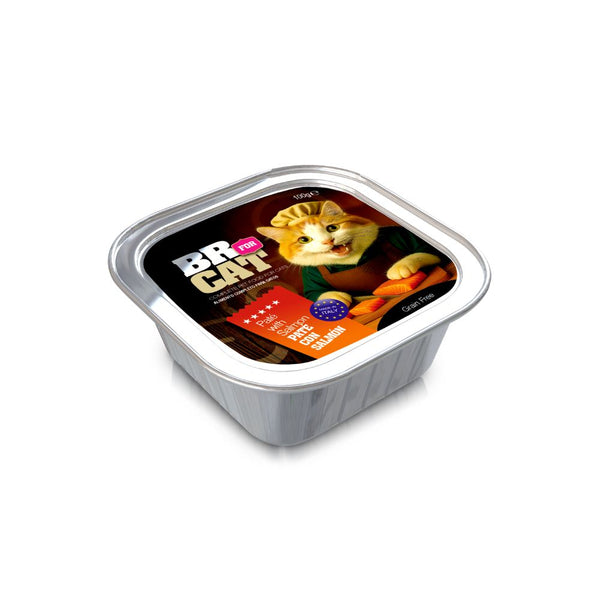 Alimento Humedo Para Gatos  Br For Cat pate Sabor Salmon 100 gramos