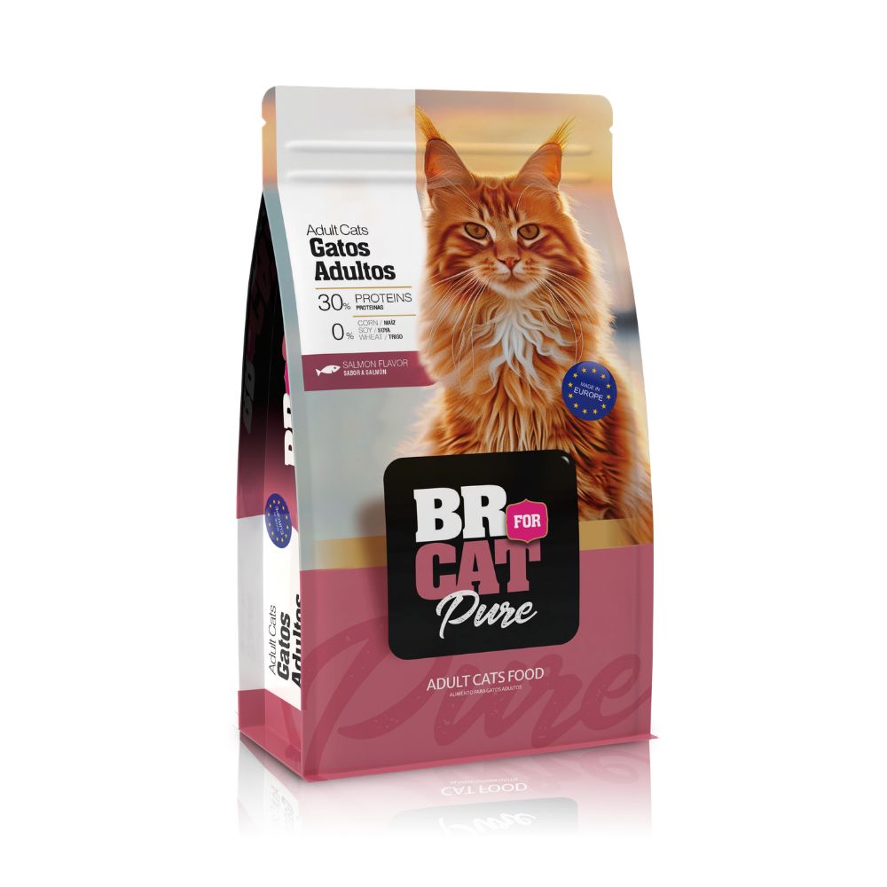 Comidas para gatos adultos BR Salmón