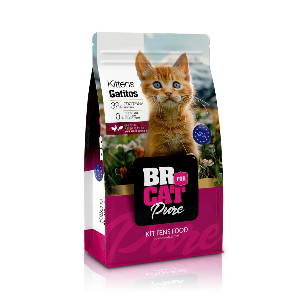 Comida para gatitos BR Kitten