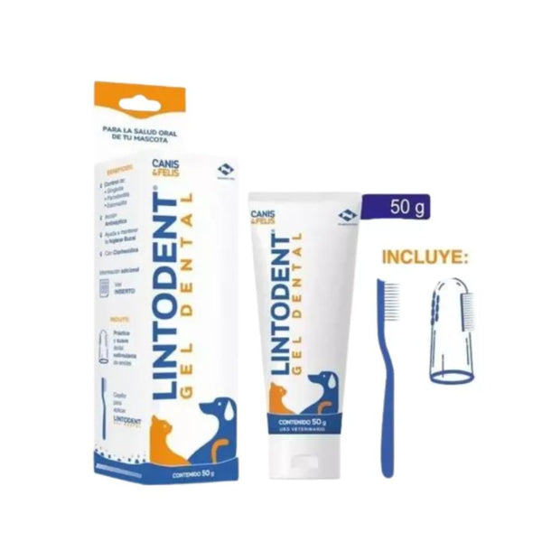 Combo De Lintodent Gel Dental y enjuague Bucal