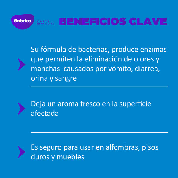 Eliminador De Manchas Y Olores Avanzado Gato Nature Miracle 32 Onz