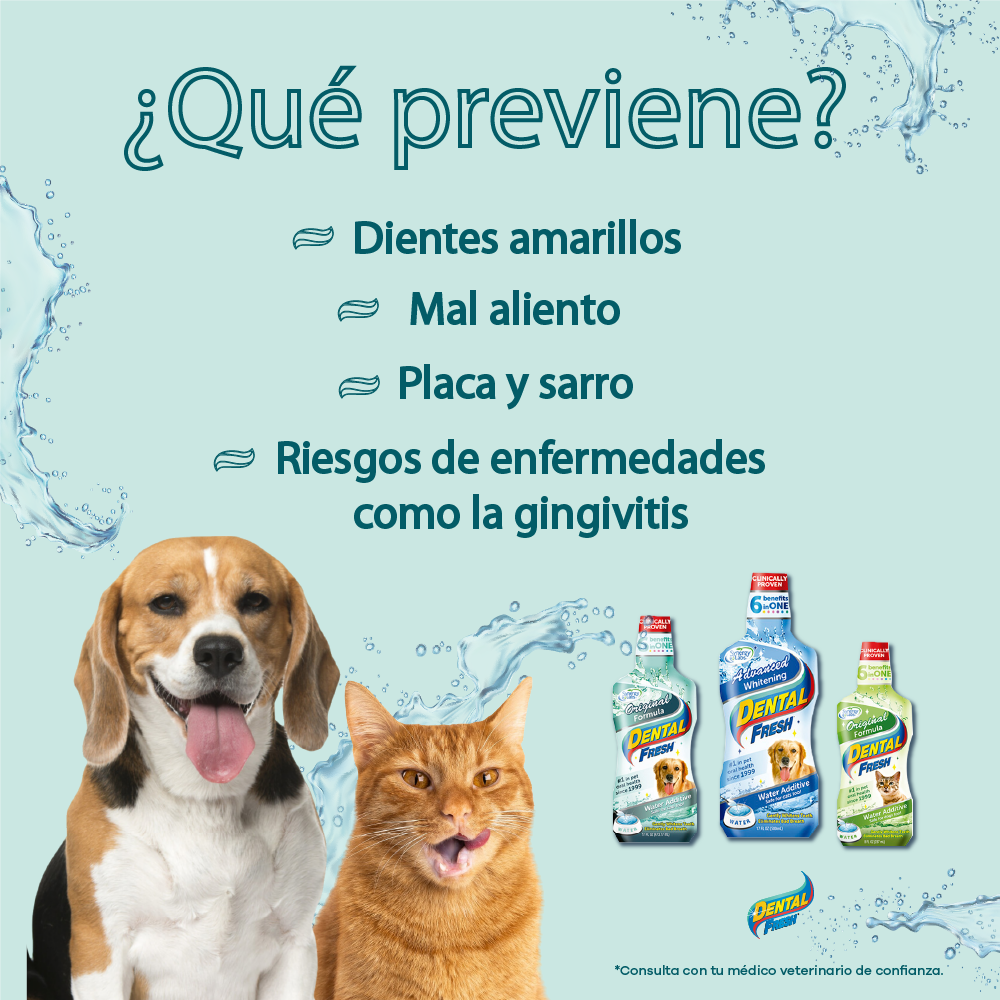 Enjuague Oral Dental Fresh Original Dog