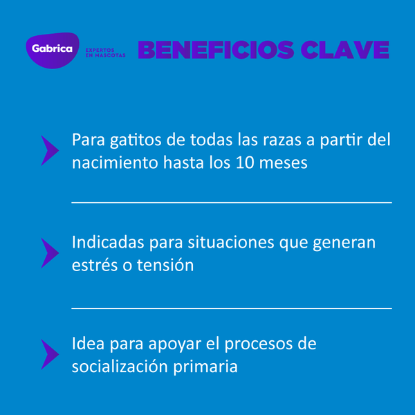 Esencia floral Kitten Gotas 30ML