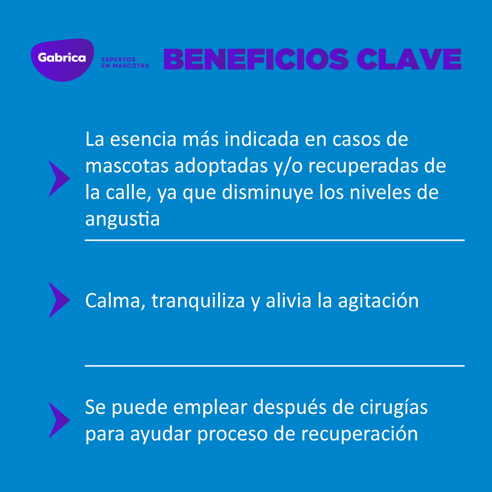 Esencias Florales Rescate Gotas 30 ml