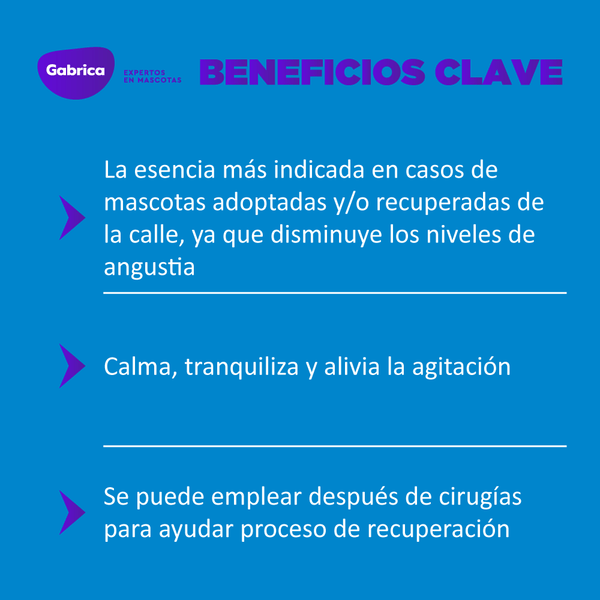 Esencia floral Rescate Spray 250 ml