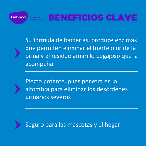 Espuma Destructora De Orina Gato Nature Miracle 32 Onz